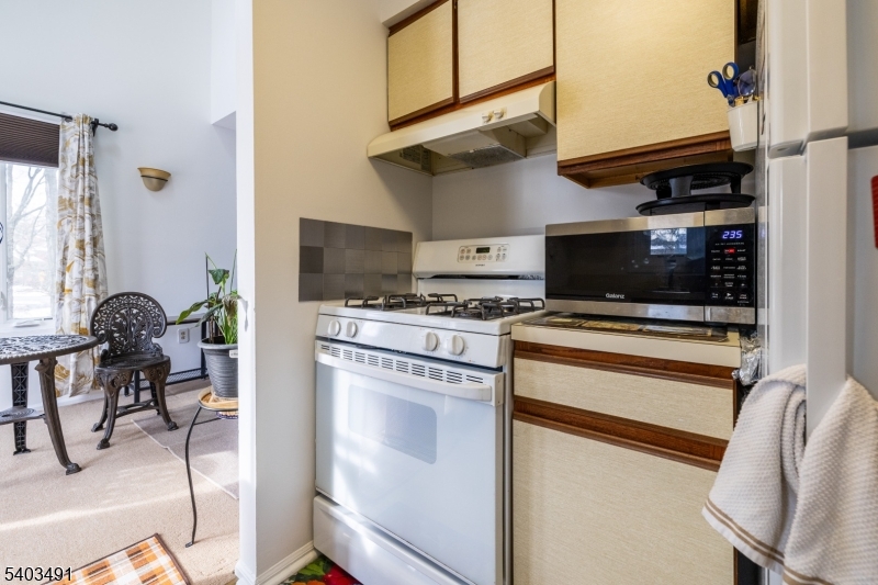 Village Commons - Residential