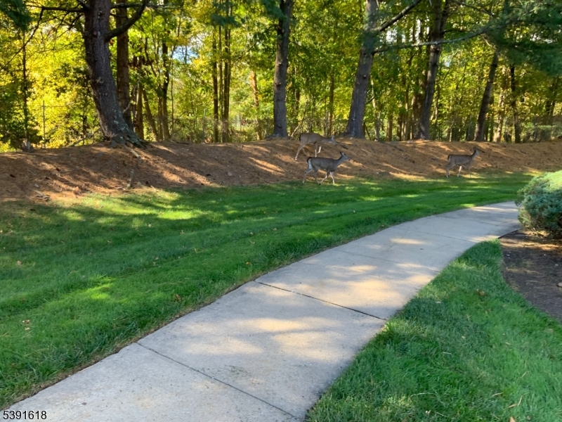 Wareham - Residential