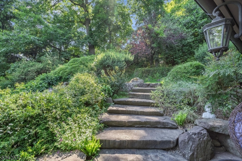 Mountain Historic - Residential