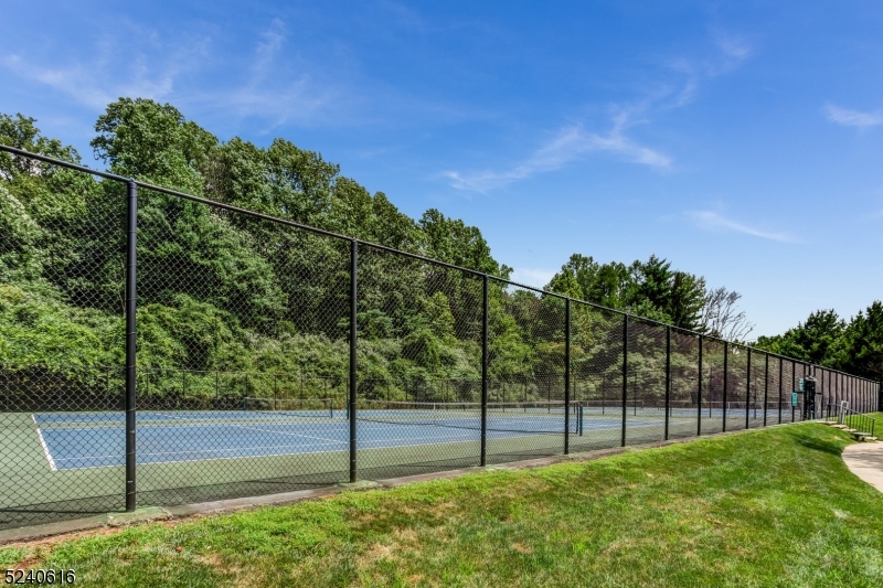 The Hills - Residential Lease