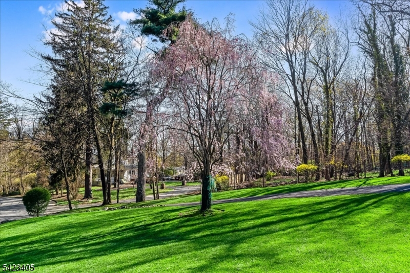 Llewelyn Park - Residential