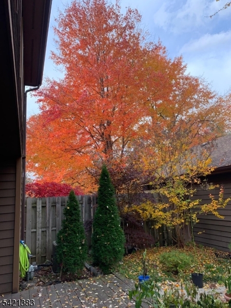 TIMBERLINE - Residential