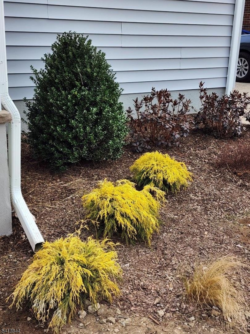 South Amboy - Residential