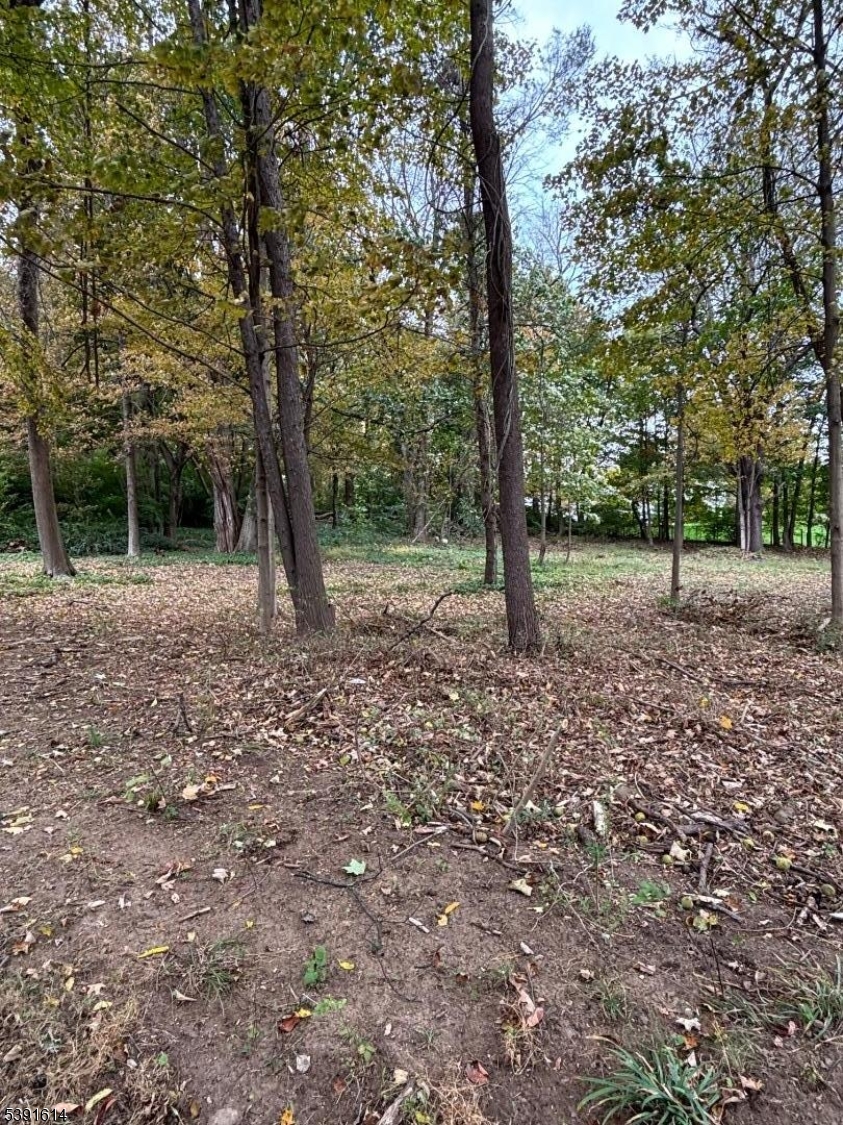 56-60 Spring Valley Rd - Residential