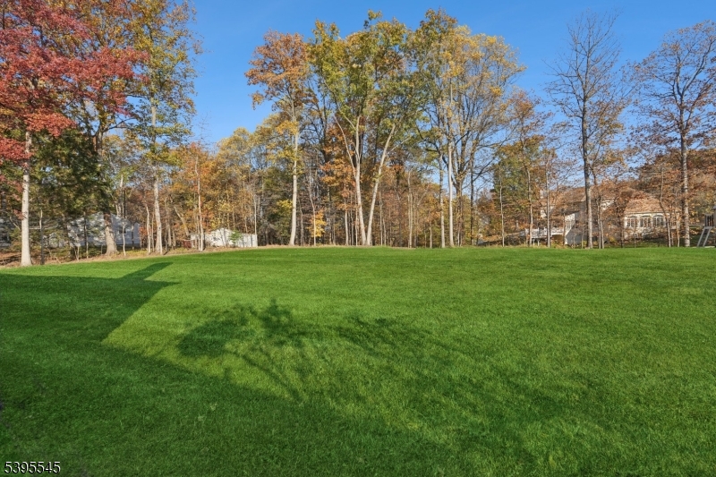 Brass Castle Estates - Residential