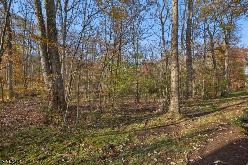 Willow Walk - Residential Lease