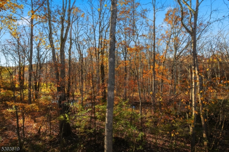 Willow Walk - Residential Lease