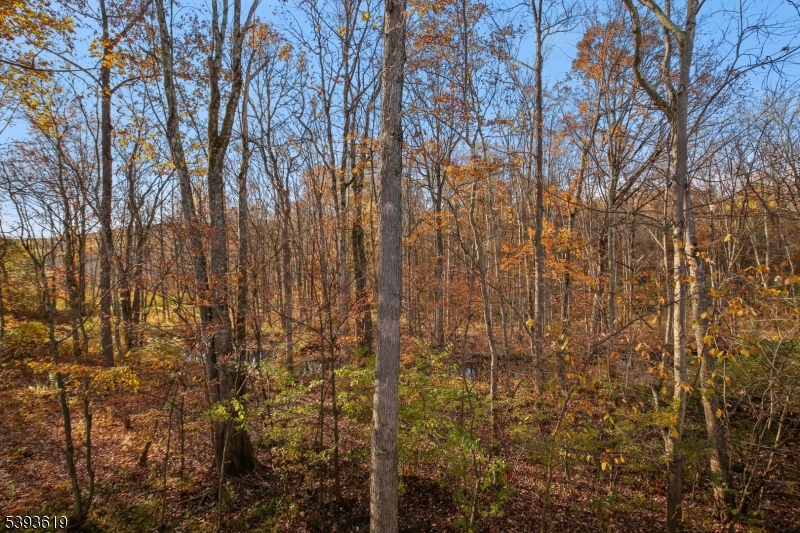 Willow Walk - Residential Lease