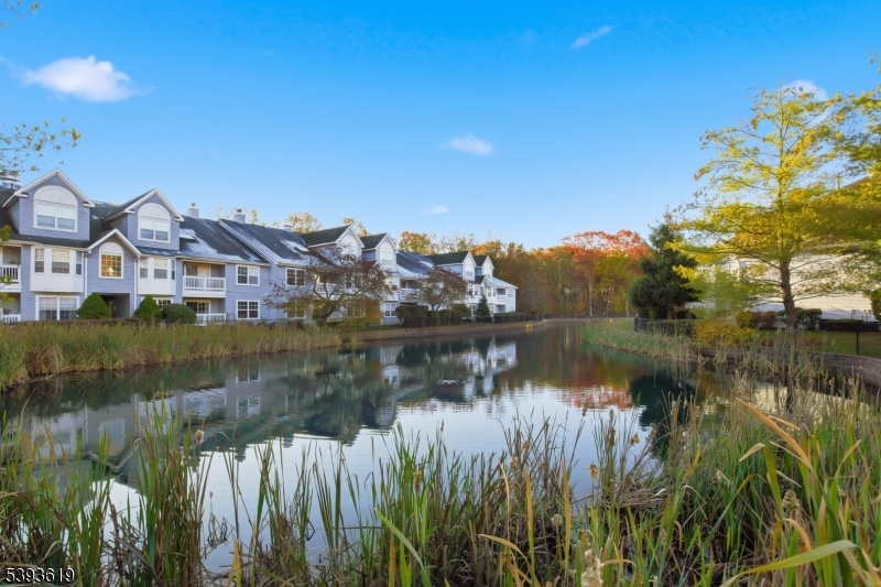 Willow Walk - Residential Lease