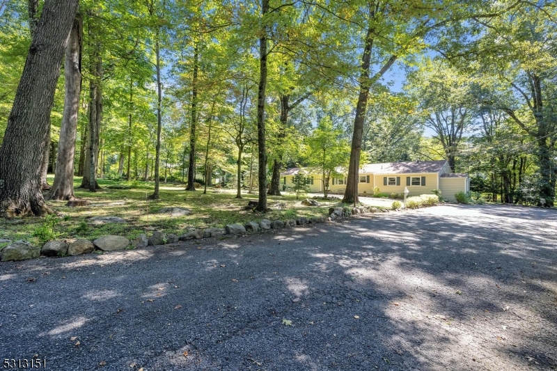 Mountain - Residential