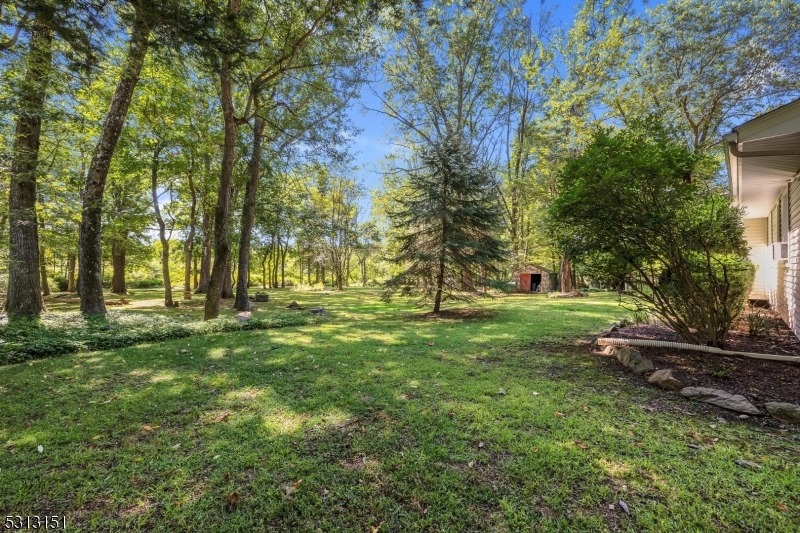 Mountain - Residential