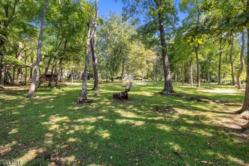 Mountain - Residential