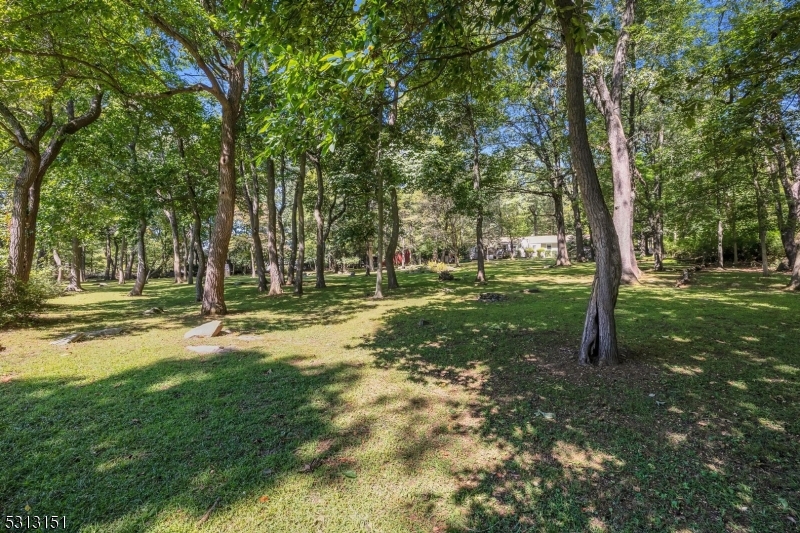 Mountain - Residential