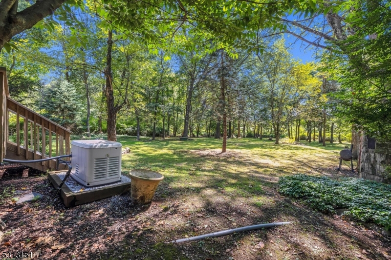 Mountain - Residential