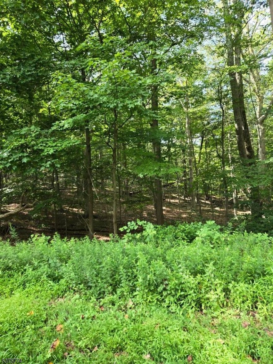 Rare opportunity to own a beautiful undeveloped lot to build your dream home. This is raw land.  Lot size 433 sq ft. x 136 sq ft.  approximately 1.37 Acres.  Buyers do your due diligence.  Seller has no documents.  Just minutes away to launch your boat and enjoy life on Lake Hopatcong.  Close to Rt 80 to NY or PA.