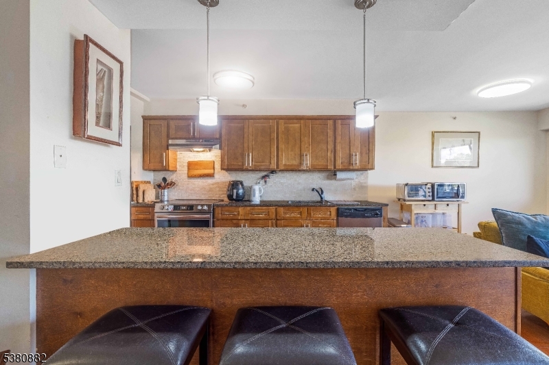 East Orange City, New Jersey 07017, United States, 1 Bedroom Bedrooms, ,1 BathroomBathrooms,Residential,Active,207708