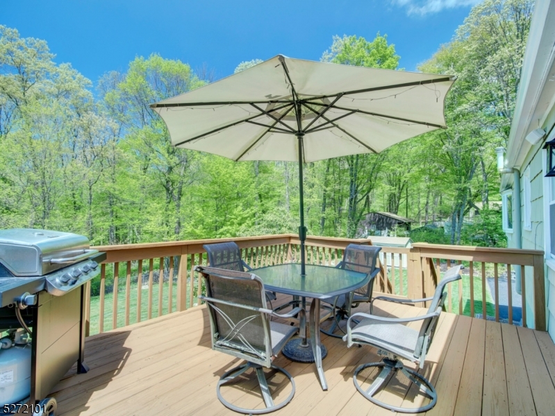 Mooney Mountain - Residential