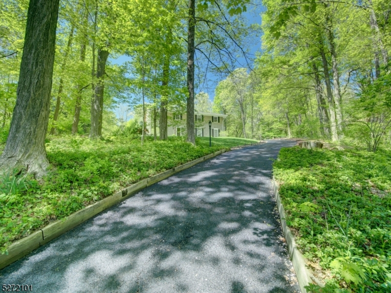 Mooney Mountain - Residential