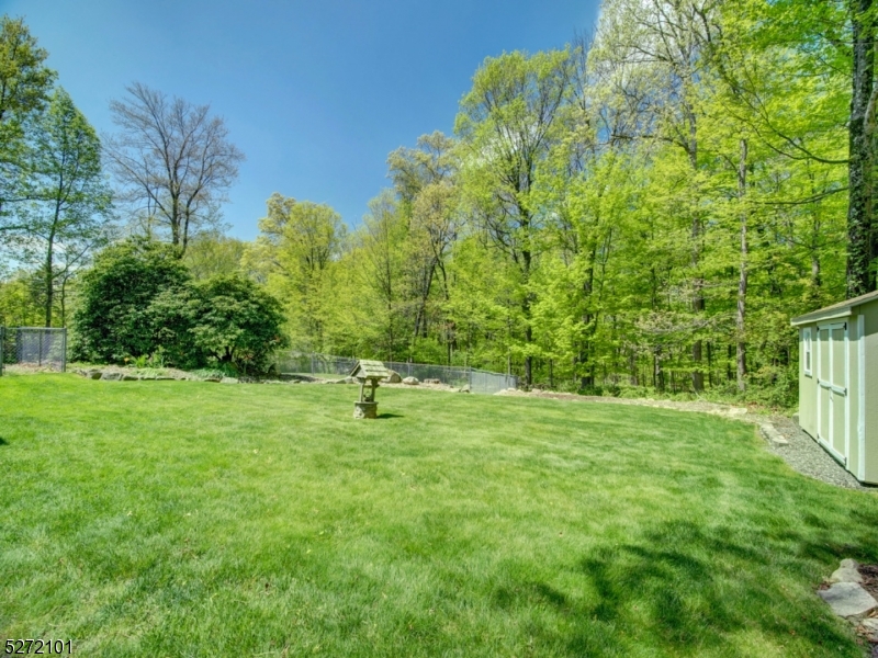 Mooney Mountain - Residential