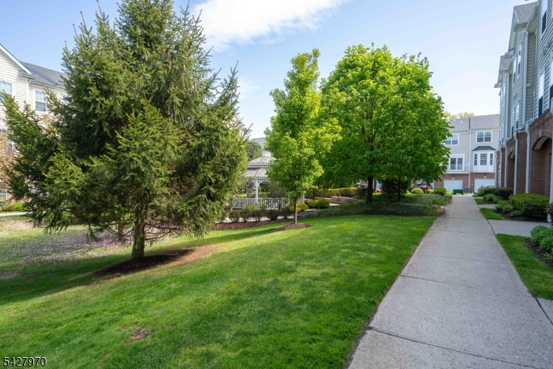 Essex Park - Residential