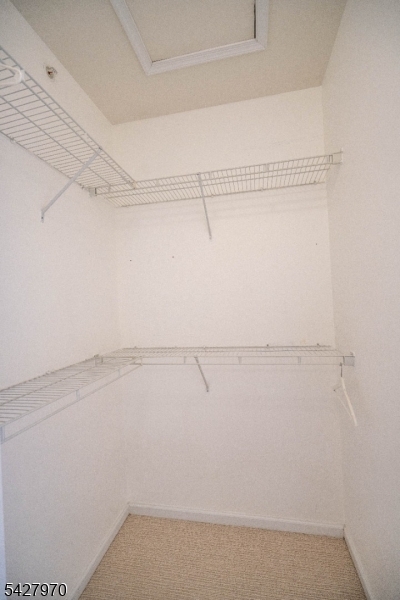 Essex Park - Residential