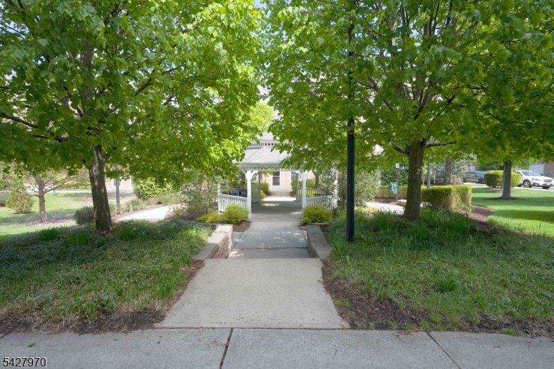 Essex Park - Residential