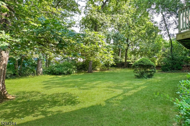 Burnet Hill - Residential