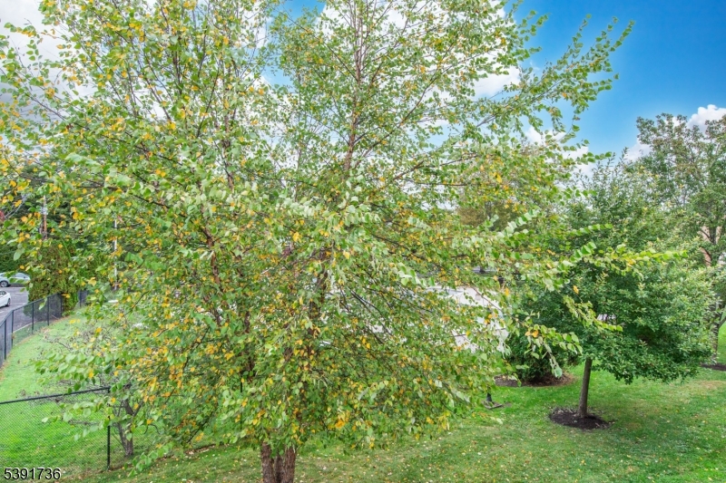 Parsons Village - Residential Lease