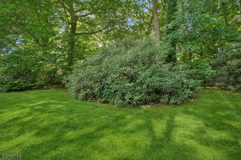 Druid HillEstates/Oak Ridge - Residential