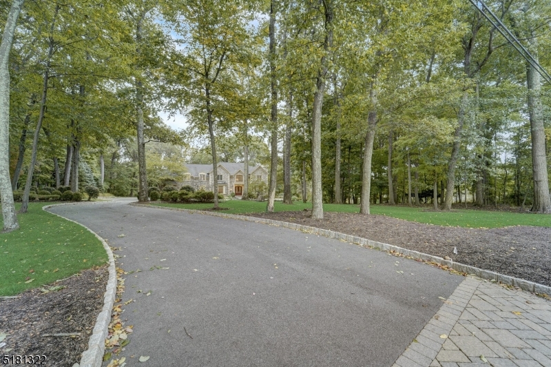 Mendham Lake Area - Residential