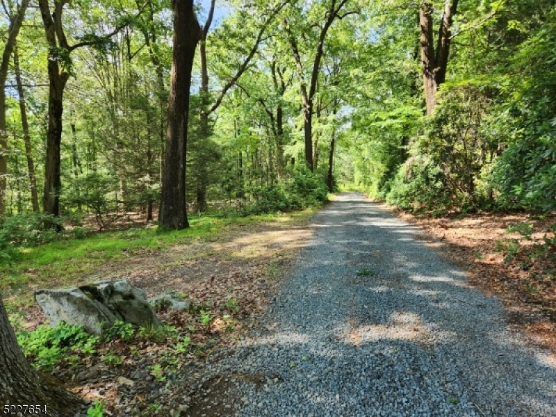 Photo 8 of 41 of 59 Tingley Rd land