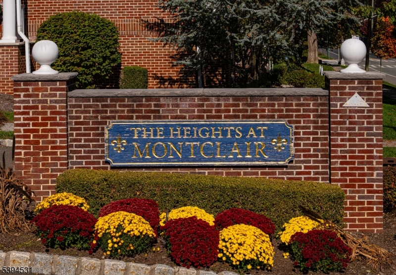 Heights At Montclair - Residential