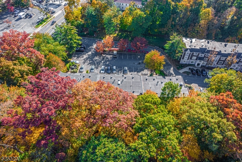 Village at Convent - Residential