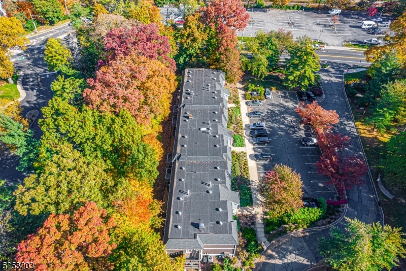 Village at Convent - Residential