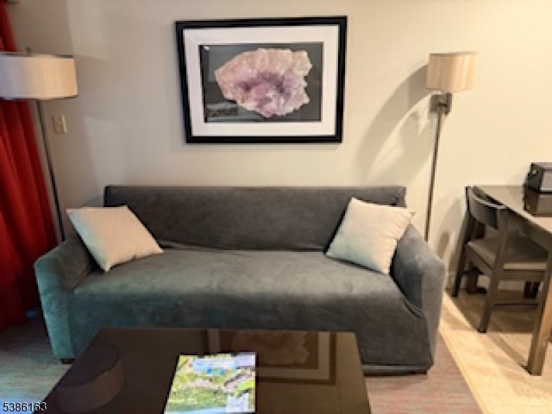 Minerals Resort - Residential