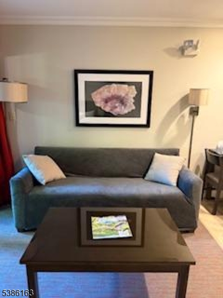 Minerals Resort - Residential