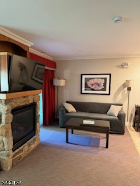 Minerals Resort - Residential