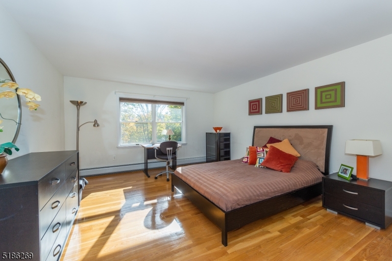 Raine Tree - Residential