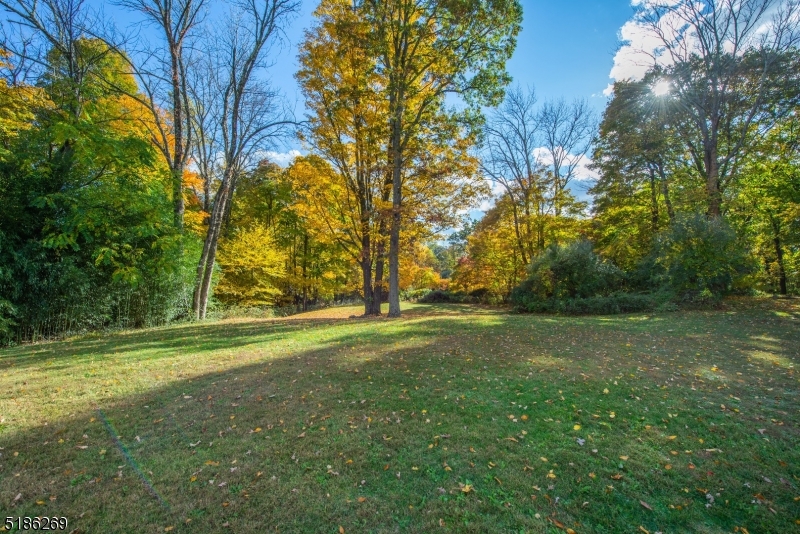 Raine Tree - Residential