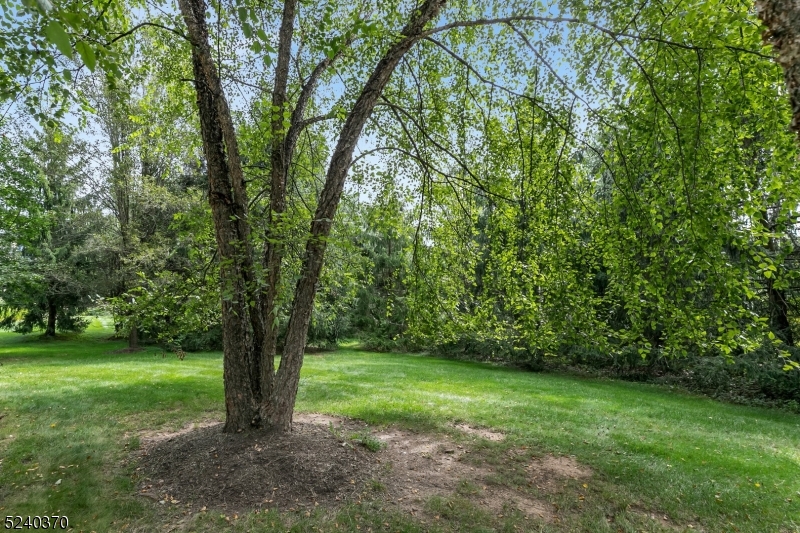 Canterbury Estates - Residential