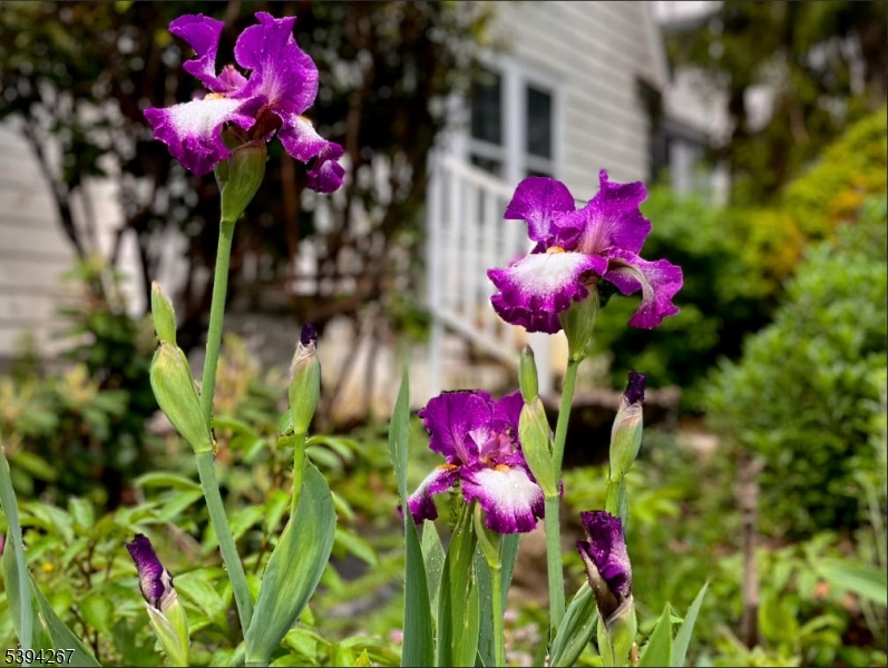 Gregory - Residential