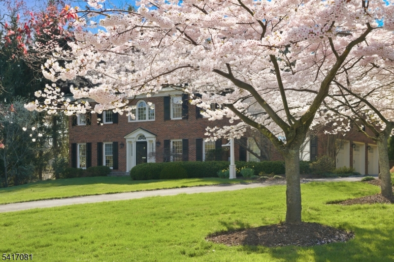 OLD SHORT HILLS - Residential