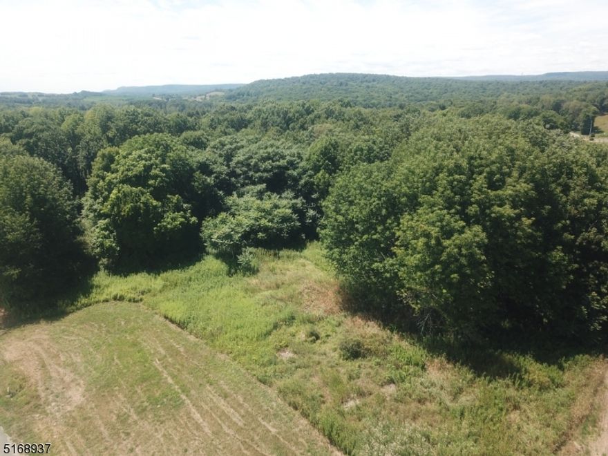 Approximately 5.7 ACRES with 985 feet of ROAD FRONTAGE on a corner lot! FARM ASSESSED taxes only $38 per YEAR! Wooded lot.