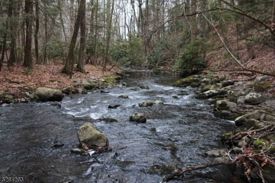 Magical 12A parcel w/babbling stream for fishing & fun*Great outdoor fishing/hunting site or build a weekend/fulltime dream home*800' of road frontage*Some paths on property*Perc test from 1990*Fantastic lot to build w/privacy but homes nearby for community*Absolutely beautiful land