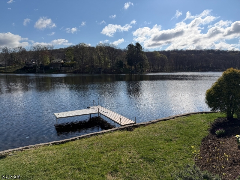 Lake Saginaw - Residential