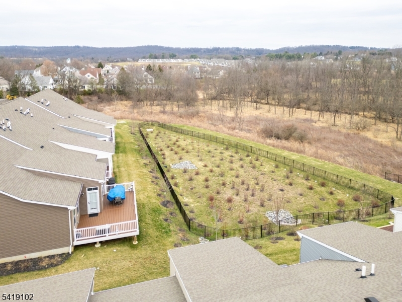 The Village at Hawk Pointe - Residential