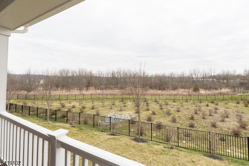 The Village at Hawk Pointe - Residential