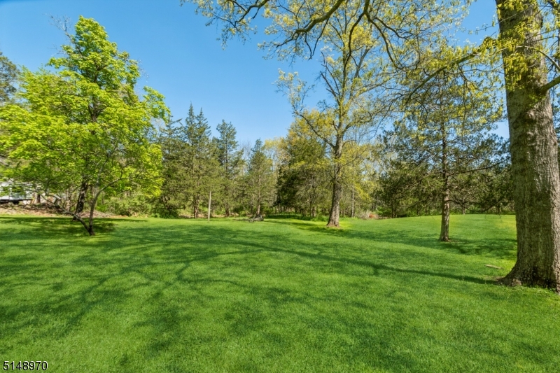 Whitehouse Station - Residential
