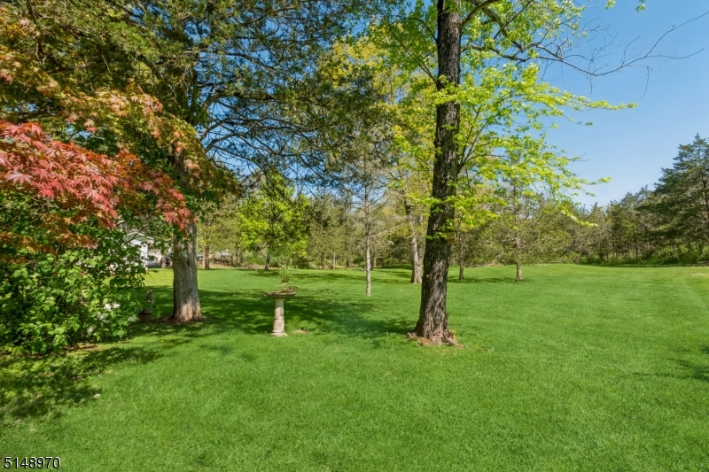 Whitehouse Station - Residential