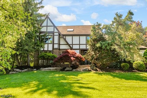 47 Livingston Dr Montgomery Twp. NJ 08502